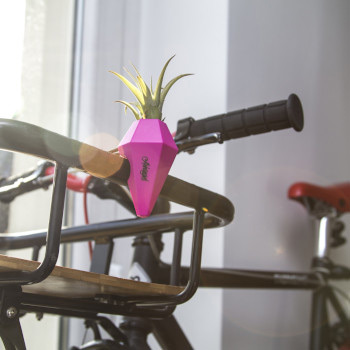 Bicycle vases