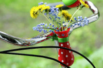 Bicycle vases