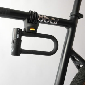 TEX-LOCK Lock mount for D-Lock / X-Lock