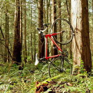 CLUG roadie (S) - Bike Rack for Road Bikes and Urban Fixies