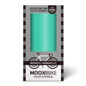 MOOXIBIKE Fahrradfolie Mint Matt