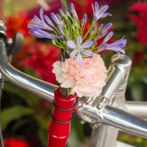 Cherry Wood Handlebar Vase