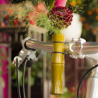 Cherry Wood Handlebar Vase (green)