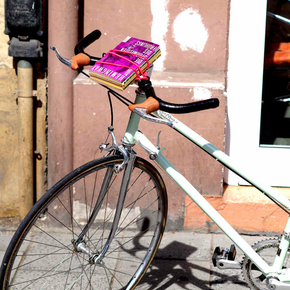 Carryyygum Fahrrad Gepäckträger für den Lenker (blau), 9,90